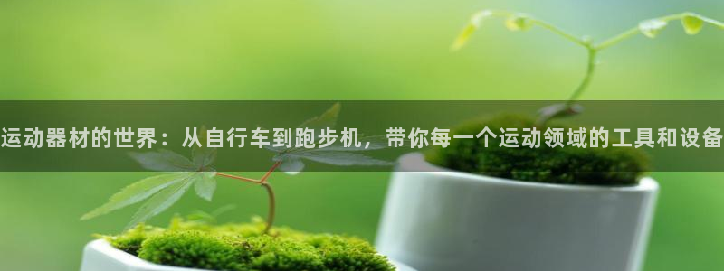 意昂体育4平台APP：运动器材的世界：从自行车到跑步机，带你