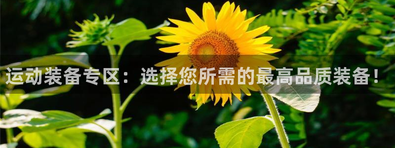 意昂体育4招商电话号码是多少：运动装备专区：选择您所