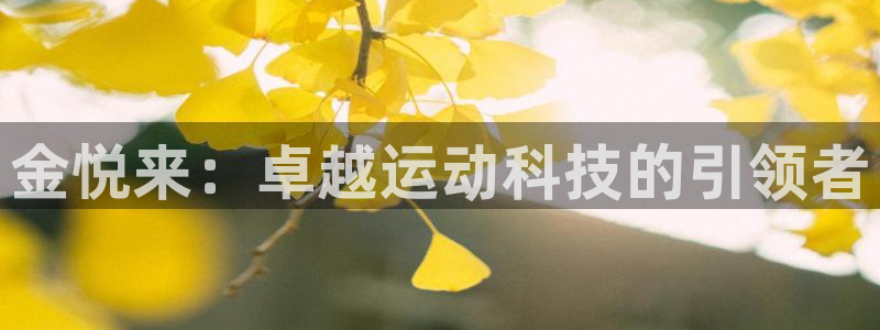 意昂体育4招商：金悦来：卓越运动科技的引领者
