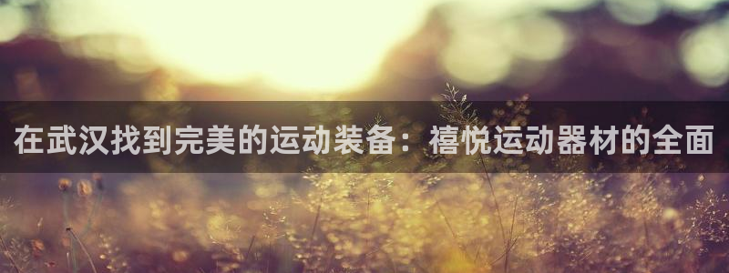 意昂4集团官网网址：在武汉找到完美的运动装备：禧悦运动器材的