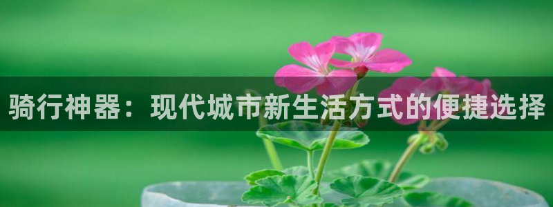 意昂体育4软件：骑行神器：现代城市新生活方式的便捷选