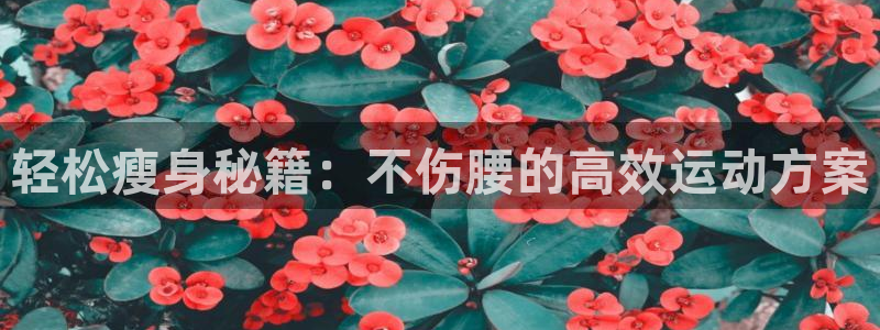 意昂体育4是干嘛的公司：轻松瘦身秘籍：不伤腰的高效运动方案