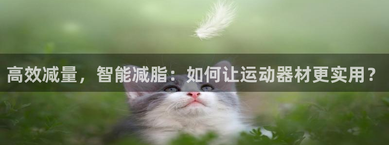 意昂4娱乐网站：高效减量，智能减脂：如何让运动器材更实用？