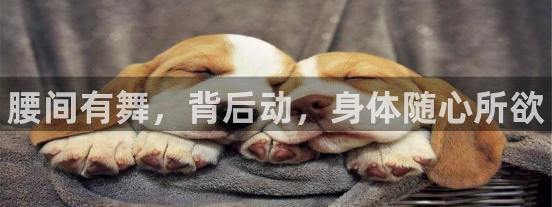 意昂体育4开户：腰间有舞，背后动，身体随心所欲