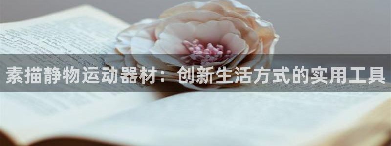 注册意昂4：素描静物运动器材：创新生活方式的实用工具