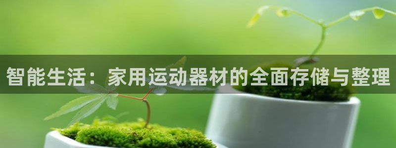 意昂体育4平台注册：智能生活：家用运动器材的全面存储