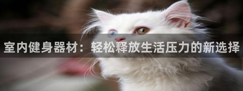 意昂4官方：室内健身器材：轻松释放生活压力的新选择