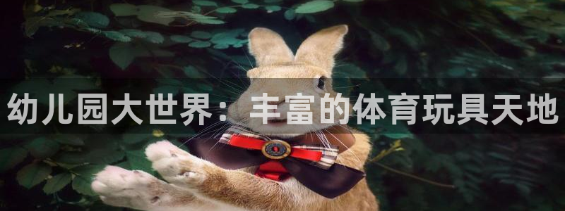 意昂体育4招商电话地址查询：幼儿园大世界：丰富的体育玩具天地