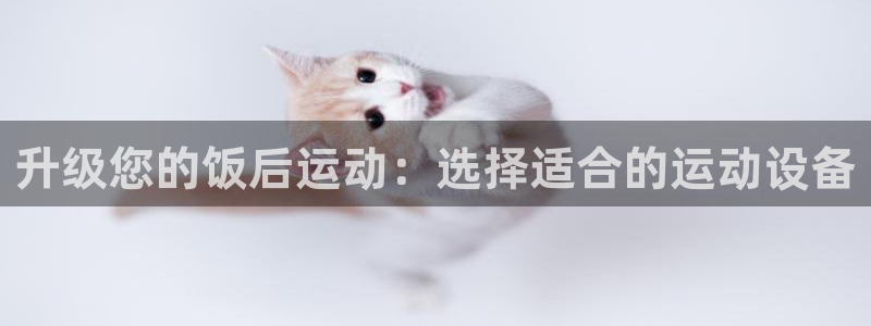 意昂4新能源：升级您的饭后运动：选择适合的运动设备