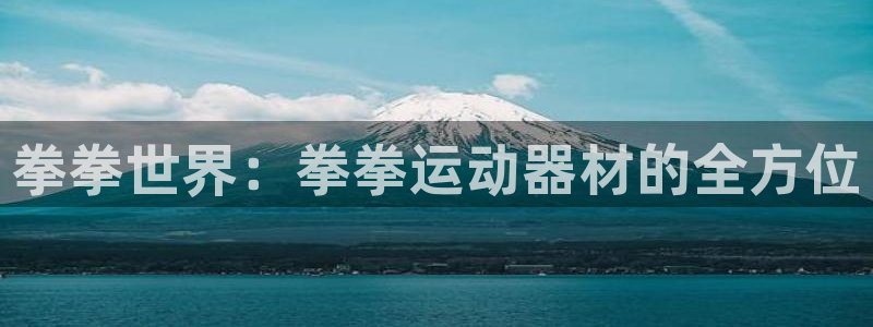 意昂体育4招商电话是多少：拳拳世界：拳拳运动器材的全