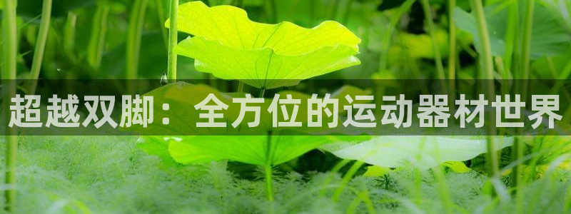 意昂4娱乐首页网站大全：超越双脚：全方位的运动器材世界