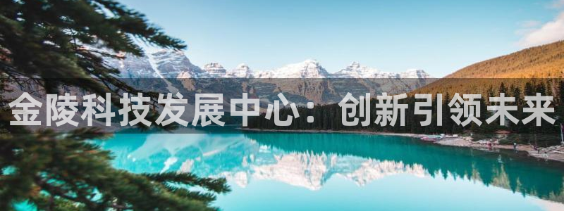 意昂体育4招商：金陵科技发展中心：创新引领未来