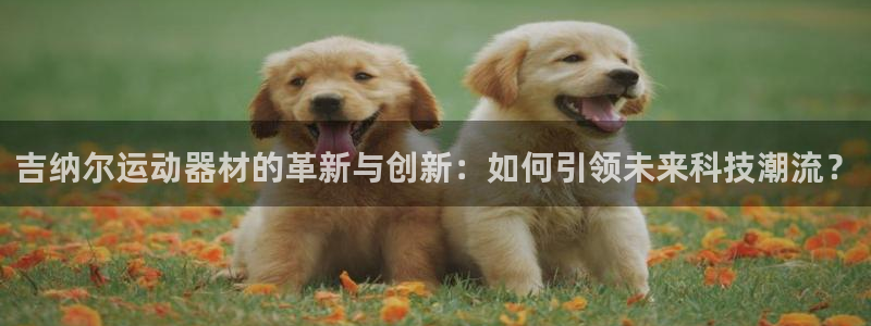 意昂4五金厂：吉纳尔运动器材的革新与创新：如何引领未来科技潮