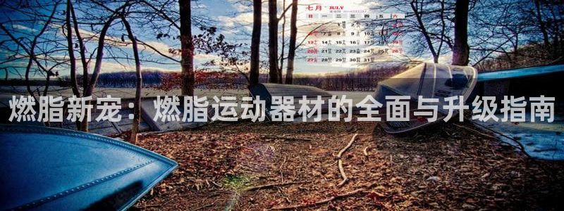 意昂体育4平台是正规平台吗安全吗：燃脂新宠：燃脂运动器材的全