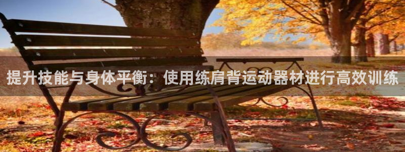 意昂体育4平台注册要钱吗：提升技能与身体平衡：使用练肩背运动